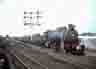trar71063
