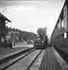 cjw5029
