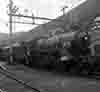 cjw5039
