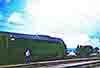 gd600029
