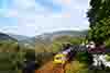 DSC00494-1

