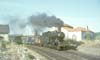 mspg146
