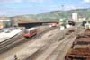 ngdmu(12)
