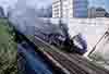 gd700169
