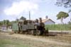 mspg304
