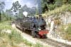 mspg82
