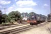 ng7462
