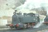 mssp106
