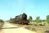 arc6065
