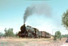 arc772
