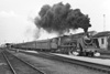 rpwsp69_51_19
