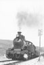 prbw2805
