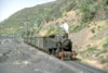 mssp49
