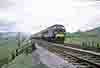 gwr2343
