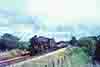 jdmC56-33
