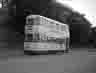 trtram0051
