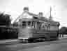 trtram0185
