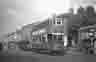 trtram0189
