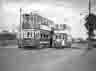 trtram0064
